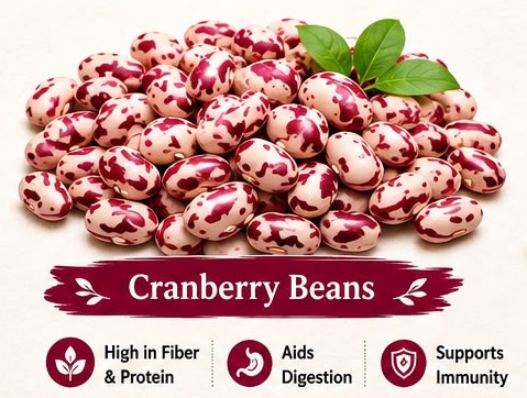 Cranberry Beans