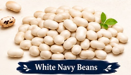 White Navy Beans