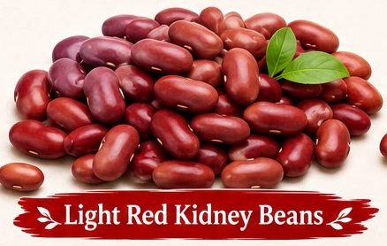 Light Red Kidney Beans
