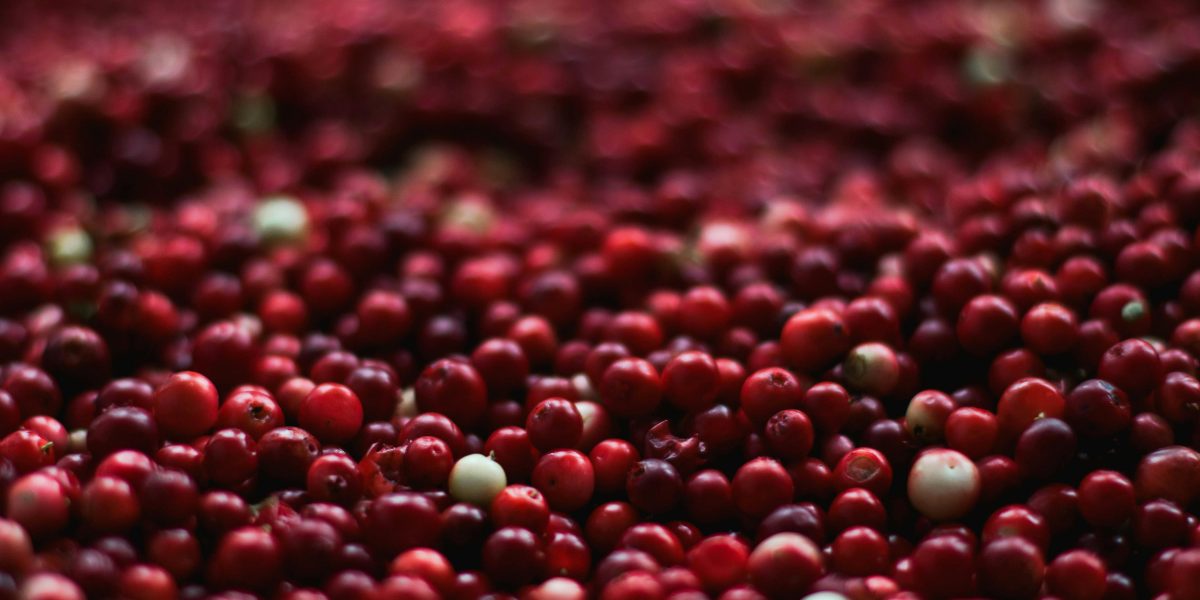 Cranberry Beans