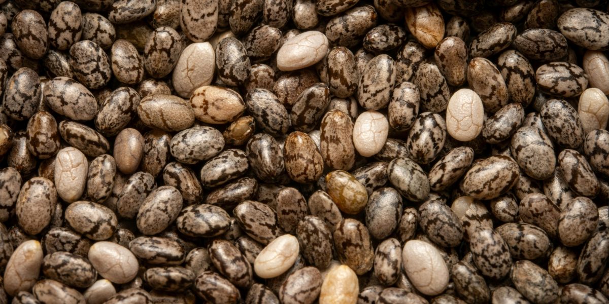Black Beans