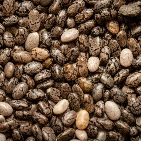 Black Beans